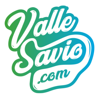 vallesavio.com